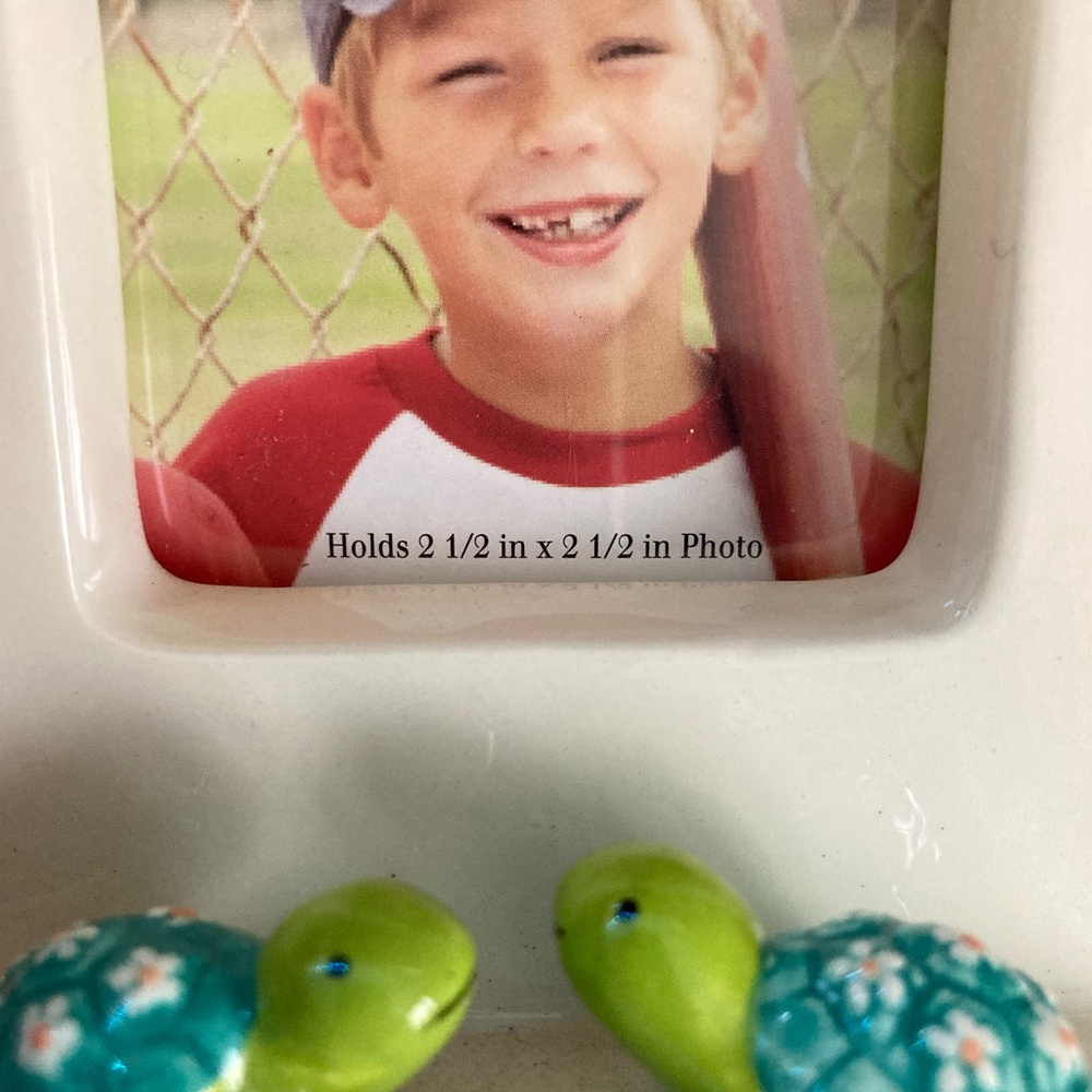 Frame with Turtles - Picture 5 of 5